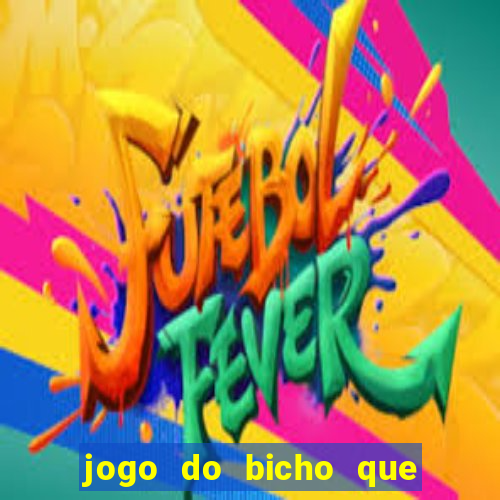 jogo do bicho que paga no pix